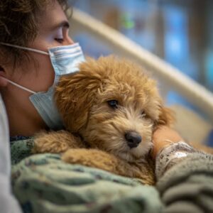 Dog cuddles with hospital patient

